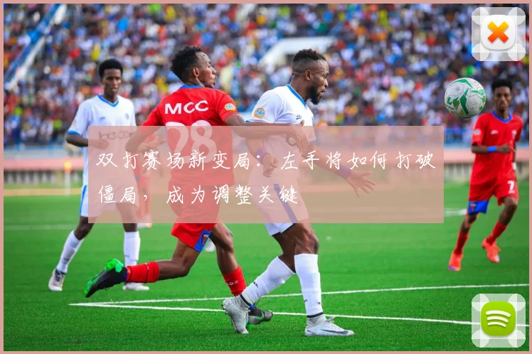 双打赛场新变局：左手将如何打破僵局，成为调整关键