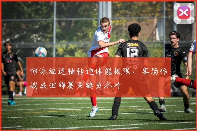 仰泳组连轴转迎体能极限，客场作战成世锦赛关键分水岭