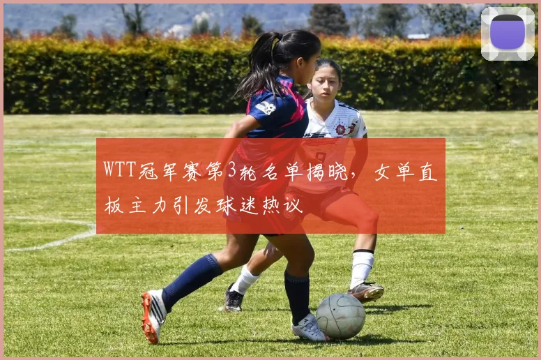 WTT冠军赛第3轮名单揭晓，女单直板主力引发球迷热议
